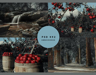 fairy garden psd preview