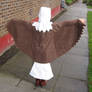 Eagle Costume for my friend's daughter