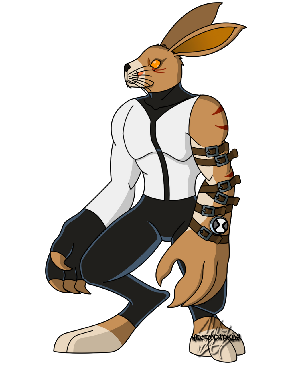 Jackrabbit