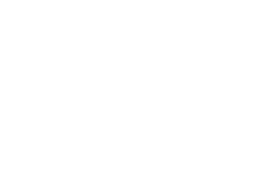 Boomerang UK Screen Bug (2008-2014)
