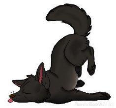 Clumsy wolf