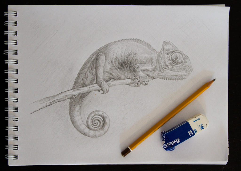 Chameleon drawing hofiak on DeviantArt