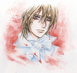 VAMPIRE KNIGHT: Kaname