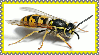 SPHEKSOPHOBIA Stamp by AESD