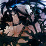 BLACK ROCK SHOOTER 7