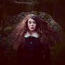 Who has seen the wind?
