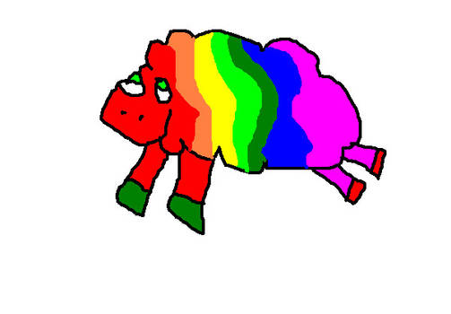 raiinbow shepe