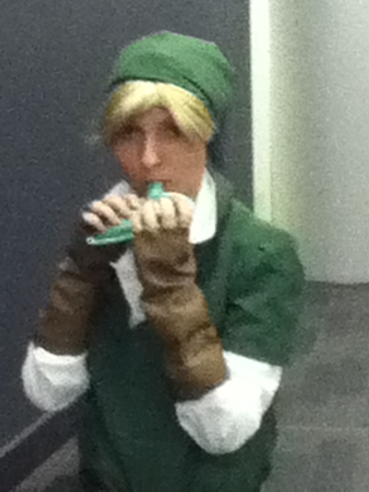 My cosplay of Link