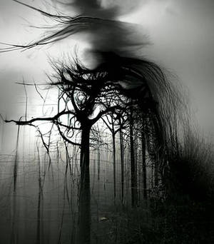 The Mind is a Dark Forest