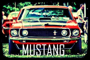 Sexy Mustang