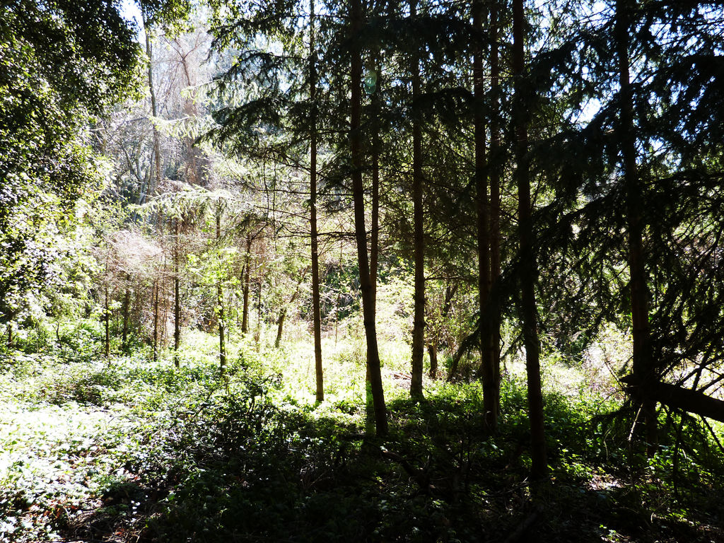 Ruby Soho by mambanegra89 on DeviantArt