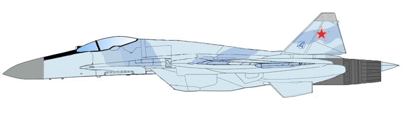 Su-57 Neo Flanker (side)