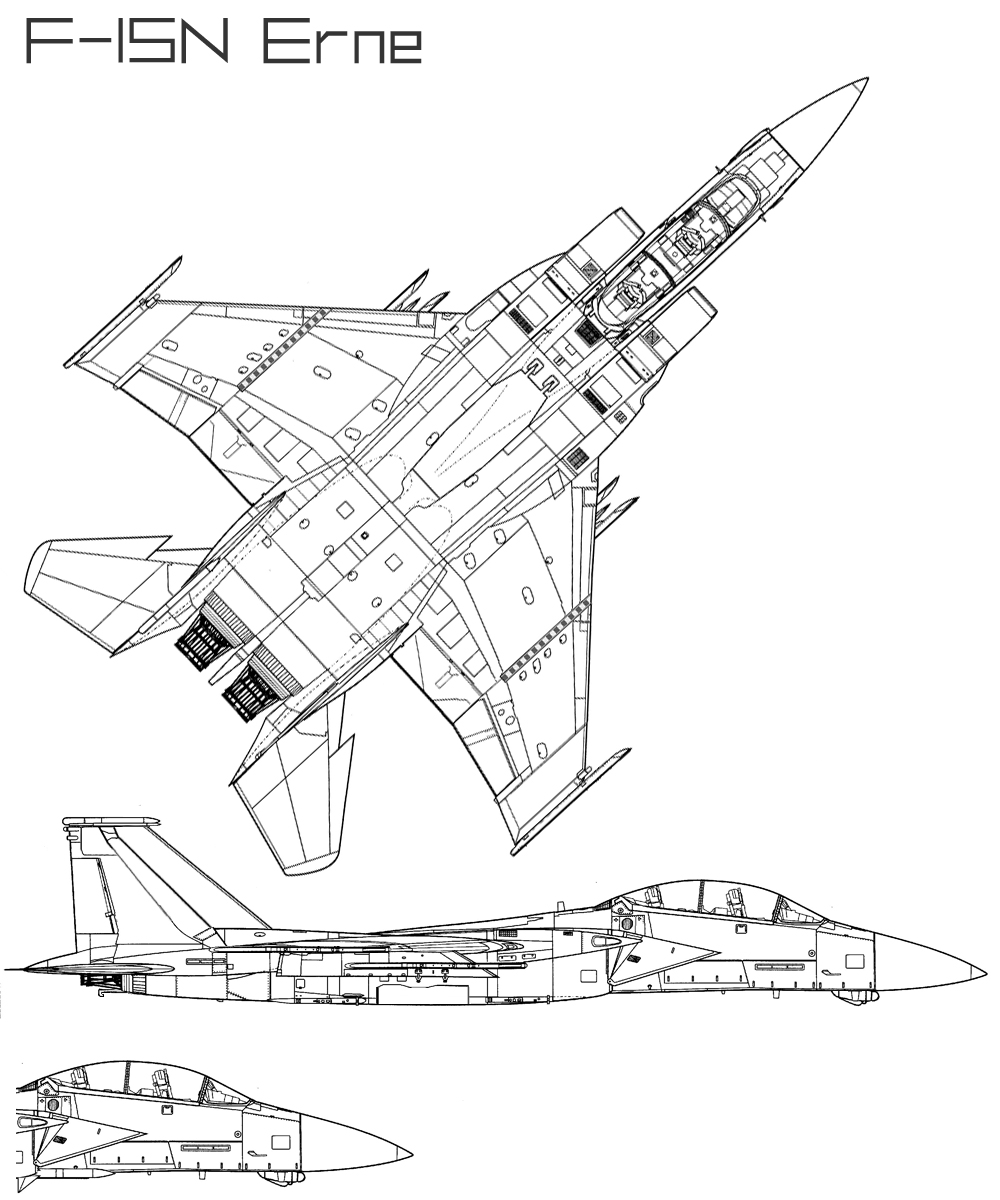 F-15N Erne