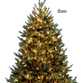 Xmas tree png 2