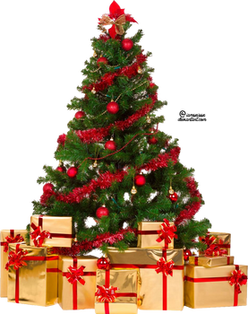 Xmas tree png 4