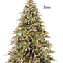 Xmas tree png 5