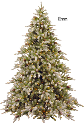 Xmas tree png 5