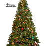 Xmas tree png 7
