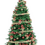 Xmas tree png 9