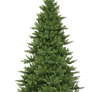 Xmas pine tree png 10
