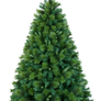 Xmas pine tree png 14