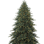 Xmas tree png 16