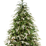 Xmas tree png 17