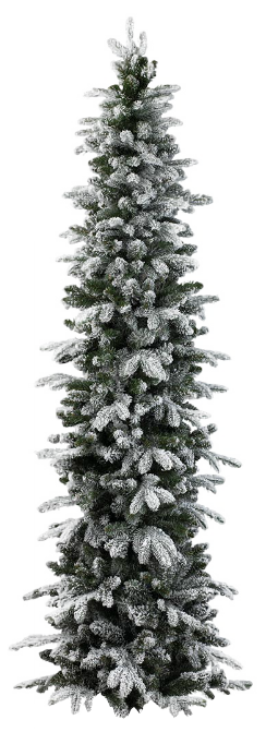 Xmas pine tree png 20