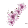 Vector png flower