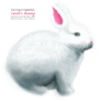 Easter bunny png