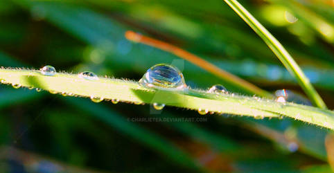 droplet