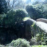 Stone Bridge Over Stream