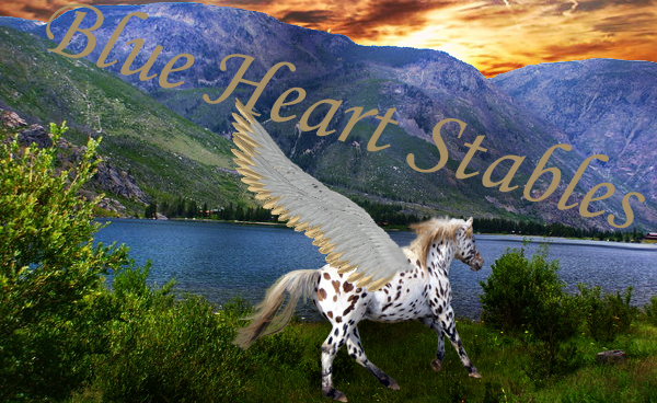 Blue Heart Stables