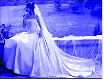 The blue bride