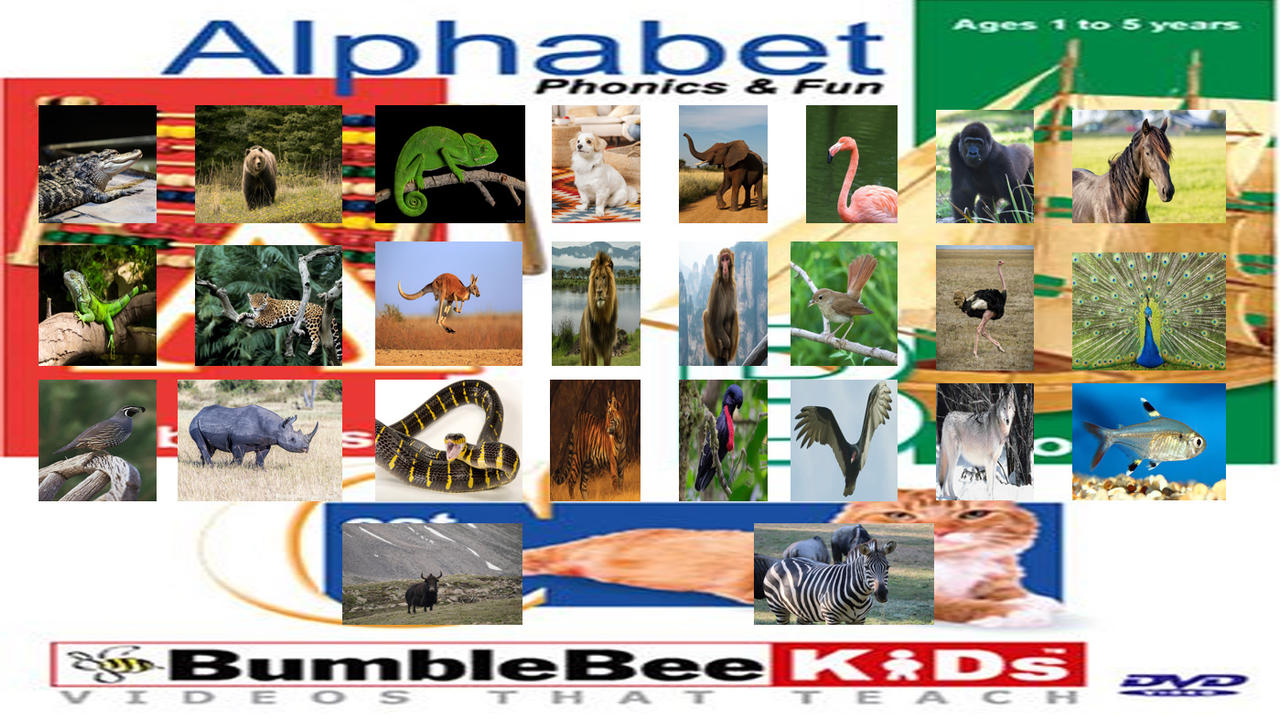 BumbleBee Kids Animal Alphabet Phonics And Fun By TommyTiger12 On Bumblebee kids animal alphabet phonics and fun by tommytiger12 on