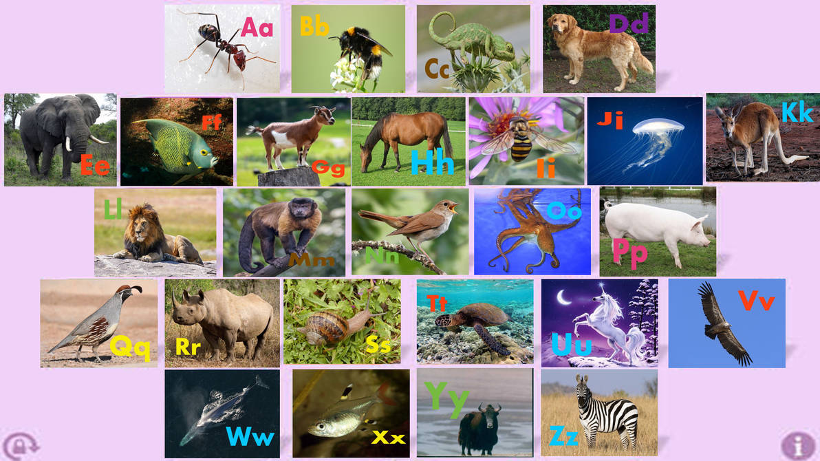 Starfall Animal Alphabet (Emmett) by TommyTiger12 on DeviantArt