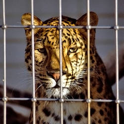 let me out of here