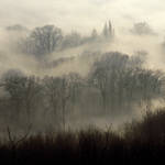 groundfog by augenweide