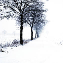 winter is coming