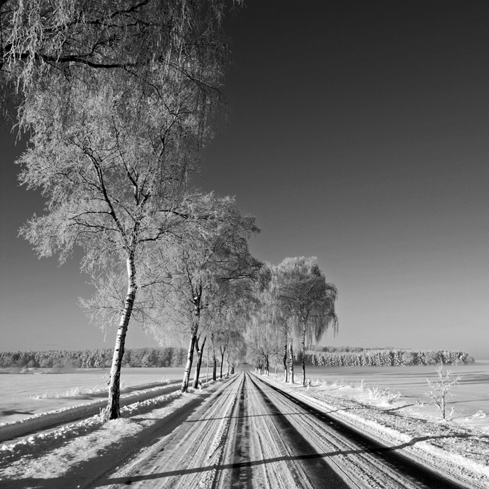 another road in winter