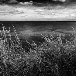 the sea