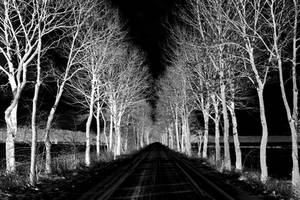 black road