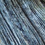 woodtexture