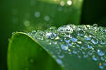 dropland by augenweide