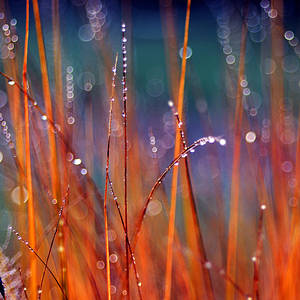 Where The Tears Go by augenweide Where The Tears Go by augenweide