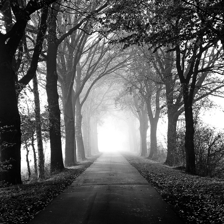 I am Gone away by augenweide I am Gone away by augenweide