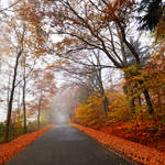 autumn feeling by augenweide autumn feeling by augenweide