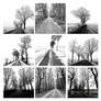 winterroads
