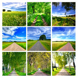 remember last spring