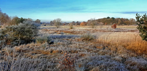 wintercolours panorama